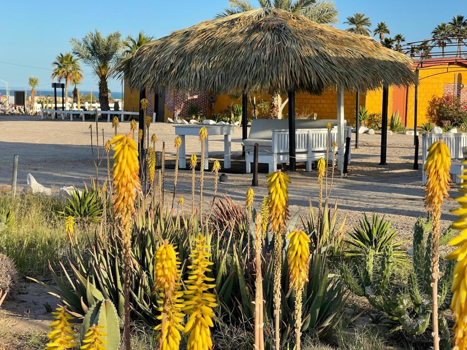 Hotel Las Palmas San Felipe  Exterior photo